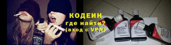 мдпв Верхний Тагил